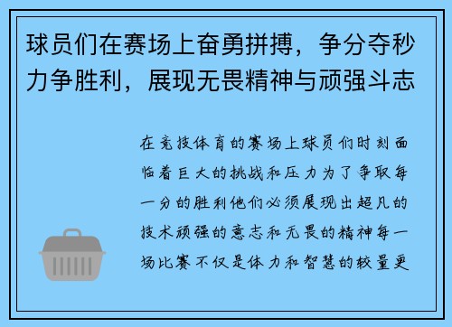 球员们在赛场上奋勇拼搏，争分夺秒力争胜利，展现无畏精神与顽强斗志