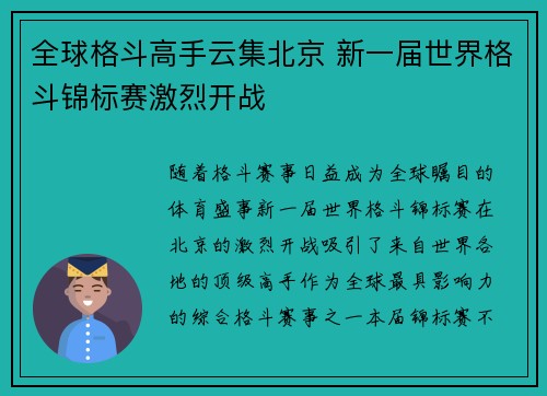 全球格斗高手云集北京 新一届世界格斗锦标赛激烈开战